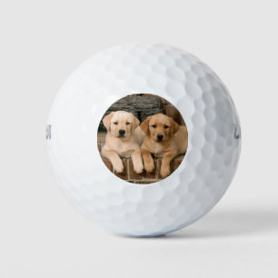 Pelotas De Golf Hermosas papilas de laboratorio