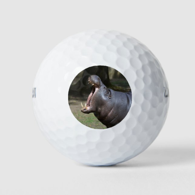 Pelotas De Golf Hippo (Anverso)