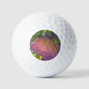 Pelotas De Golf Hoja De Caída Roja Y Bokeh