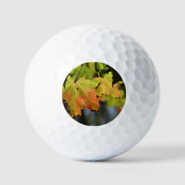 Pelotas De Golf Hojas de caída coloridas