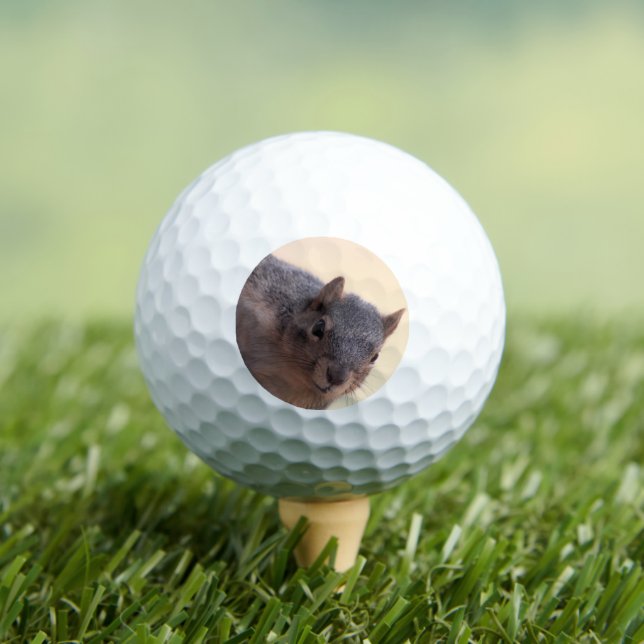 Pelotas De Golf Hola. (Camiseta in situ)