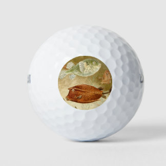 Pelotas De Golf Holandés