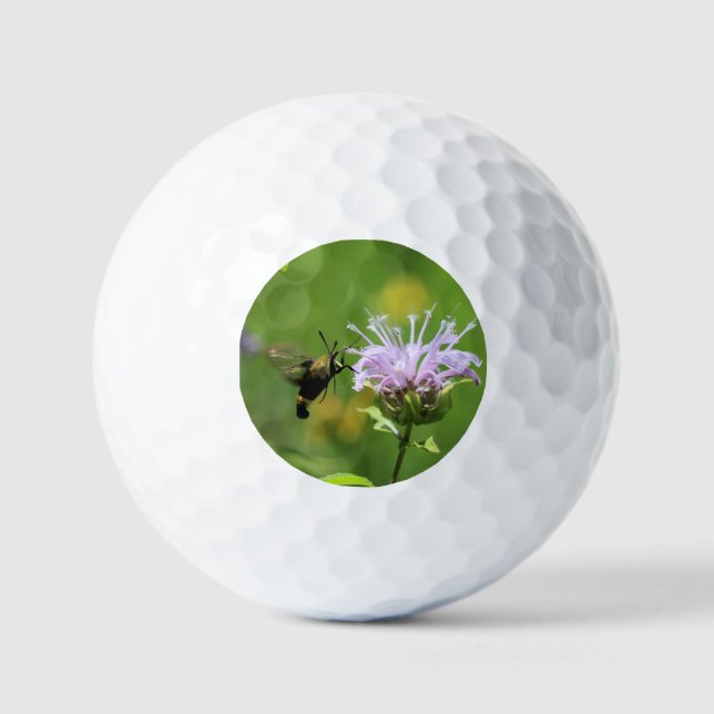 Pelotas De Golf Hummingbird Moth (Anverso)