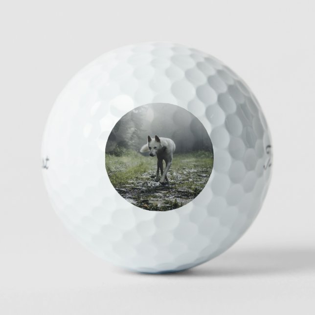 Pelotas De Golf Husky Siberiano Blanco (Anverso)