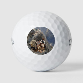 Pelotas De Golf Iconos de los nativos americanos: Guerreros Apache