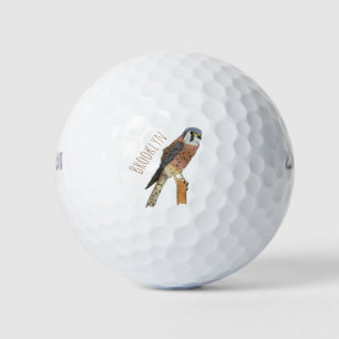 Pelotas De Golf Ilustracion americano de aves de Kestrel