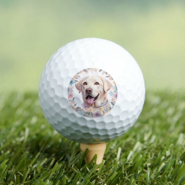 Pelotas De Golf Ilustracion Floral Whimsical Labrador Recuperador (Camiseta in situ)