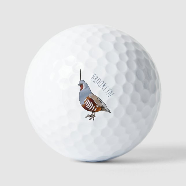 Pelotas De Golf Ilustracion personalizado de codorniz de montaña (Anverso)