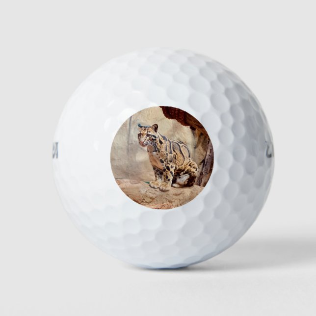 Pelotas De Golf imagen de leopardo nublado naturaleza vida salvaje (Anverso)