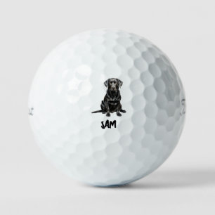 Pelotas De Golf Imagen de Mascota Personalizada Nombre Título Pro