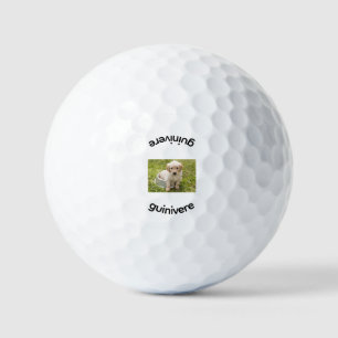 Pelotas De Golf Imagen de reemplazo personalizada