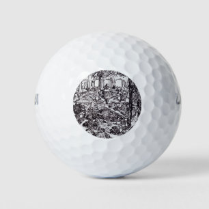 Pelotas De Golf Impresionismo: Vincent Van Gogh Garten des Hospita
