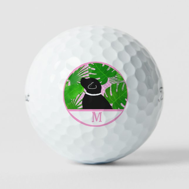 Pelotas De Golf Isla Tropical Verde Black Dog Golf Ball (Anverso)