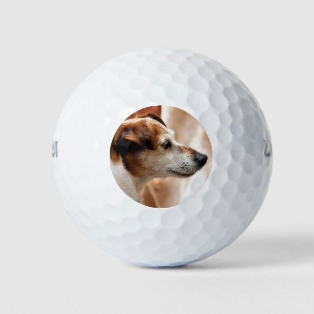 PELOTAS DE GOLF JACK RUSSELL TERRIER DOG (Anverso)