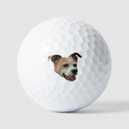 Pelotas De Golf Jack Russell Terrier Mix