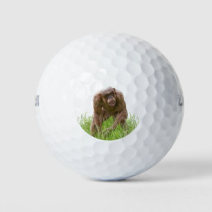 Pelotas De Golf Jambo El Único Chimpancé Sin Cabello