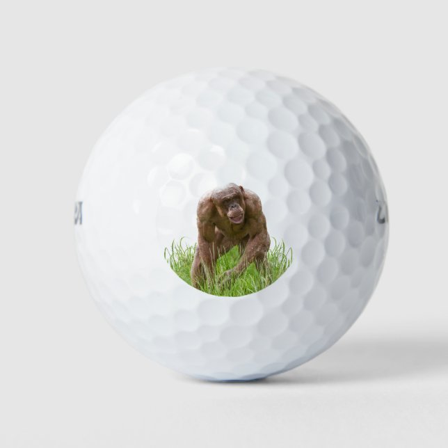 Pelotas De Golf Jambo El Único Chimpancé Sin Cabello (Anverso)
