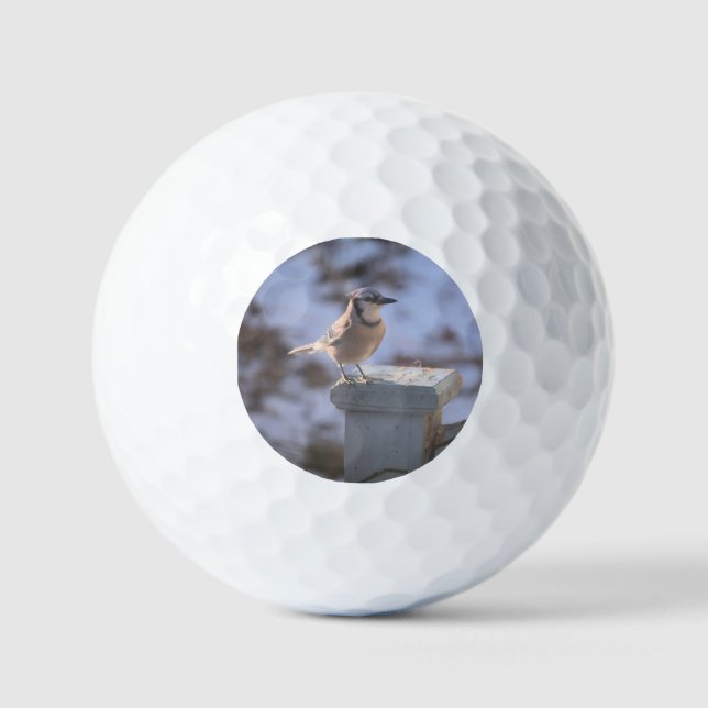 Pelotas De Golf Jay azul (Anverso)