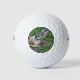 Pelotas De Golf Kangaroo