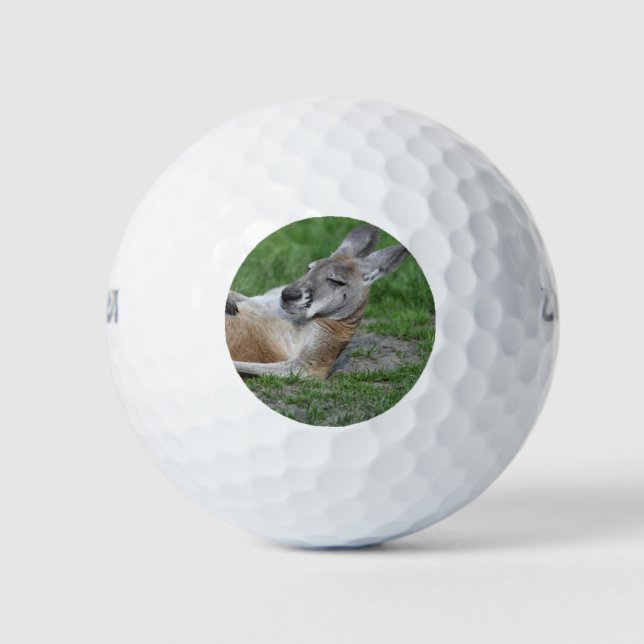 Pelotas De Golf Kangaroo (Anverso)