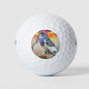 Pelotas De Golf Keet