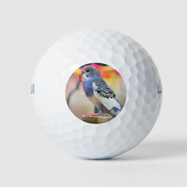 Pelotas De Golf Keet (Anverso)