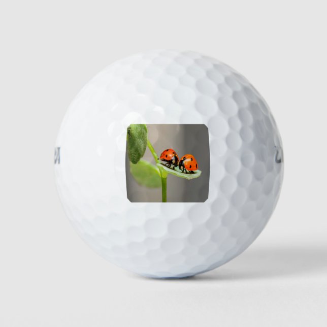 Pelotas De Golf Kissing Ladybugs (Anverso)