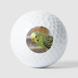 Pelotas De Golf Kiwi