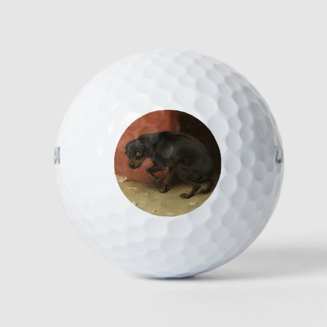 Pelotas De Golf La Conciencia Nos Hace Cobardes A Todos (Anverso)