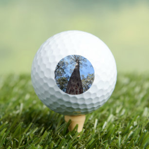 Pelotas De Golf La Gerche Ponderosa
