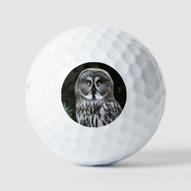 Pelotas De Golf La gran lechuza gris es 6 gbcna (Anverso)