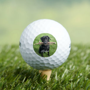Pelotas De Golf Laboratorio negro con dos palos Perro personalizad