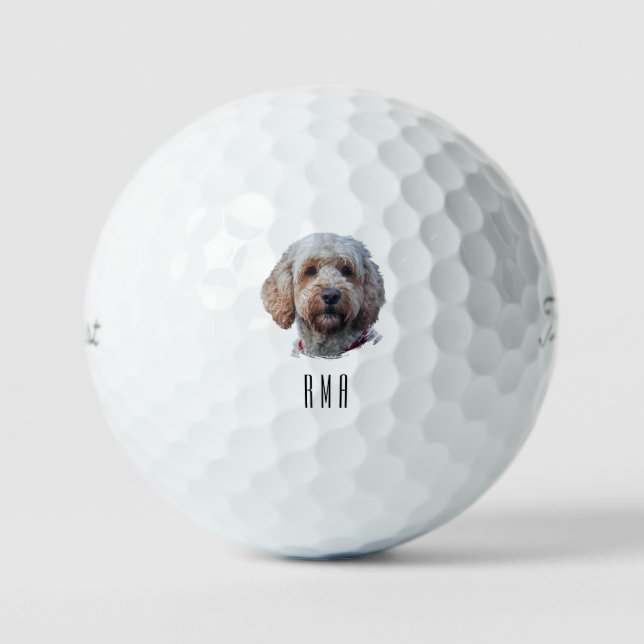 Pelotas De Golf Labradoodle (Anverso)