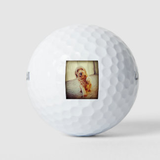 Pelotas De Golf labradoodle
