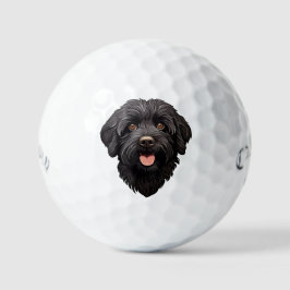 Pelotas De Golf Labradoodle Perro Negro