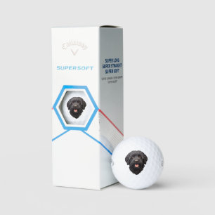 Pelotas De Golf Labradoodle Perro Negro