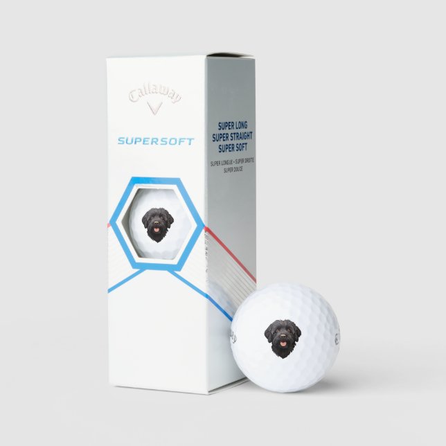 Pelotas De Golf Labradoodle Perro Negro (Embalaje)
