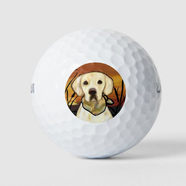 PELOTAS DE GOLF LABRADOR AMARILLO (Anverso)