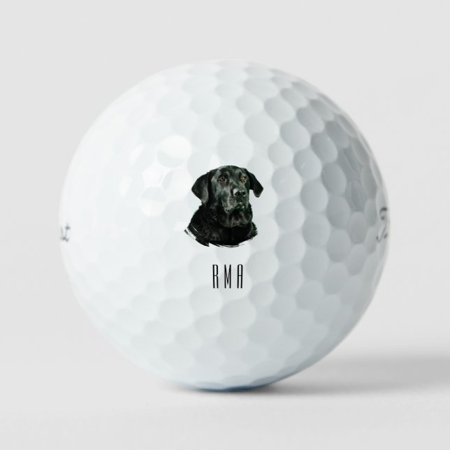 Pelotas De Golf Labrador de chocolate Labrador negro (Anverso)