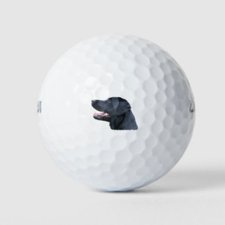Pelotas De Golf Labrador negro