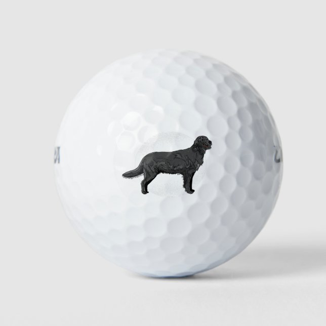 Pelotas De Golf Labrador negro - Perro de caza (Anverso)