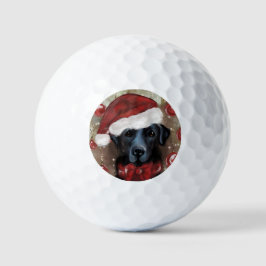 Pelotas De Golf Labrador Retriever