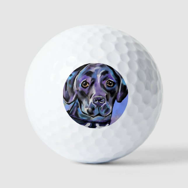 PELOTAS DE GOLF LABRADOR RETRIEVER (Anverso)