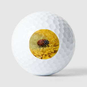 Pelotas De Golf Lady bug