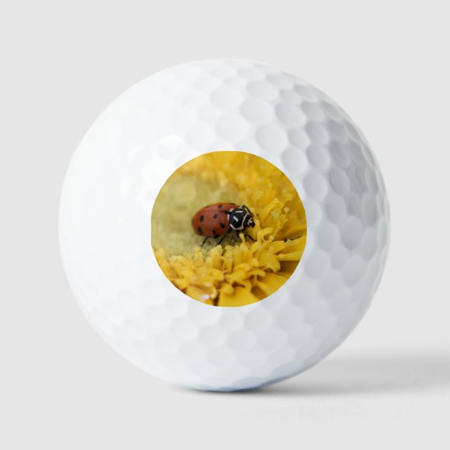 Pelotas De Golf Lady bug (Anverso)