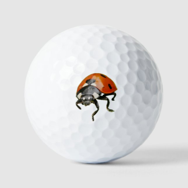 Pelotas de Golf Ladybird (Anverso)