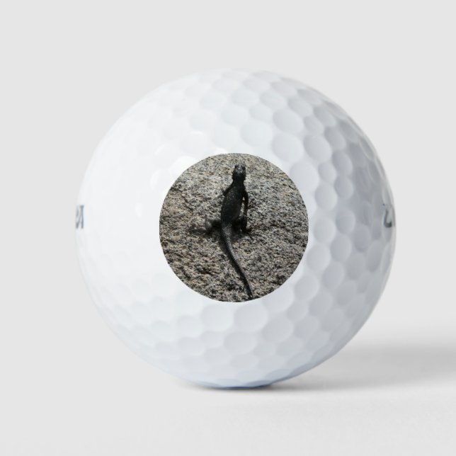 Pelotas De Golf Lagarto Negro (Anverso)