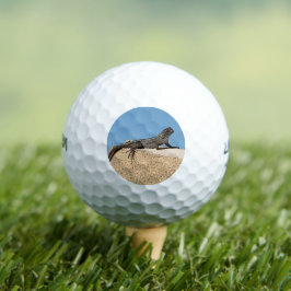 Pelotas De Golf Lagarto sobre ladrillo