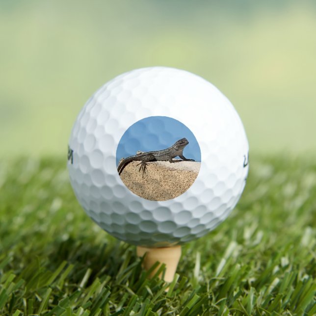 Pelotas De Golf Lagarto sobre ladrillo (Camiseta in situ)