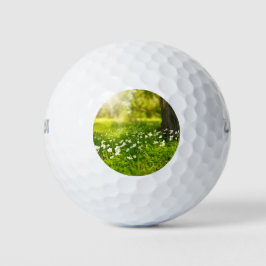 Pelotas De Golf Las alegrías de la primavera